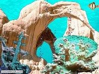 AquaCoral 3D AquaCoral 3D