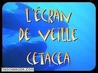 Ecran de veille Cetacea Ecran de veille Cetacea