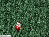 XMasMan XMasMan