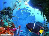 Coral Clock 3D Screensaver Coral Clock 3D Screensaver