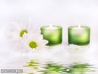 Green Relax Screensaver Green Relax Screensaver