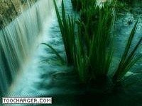 La magie de l'eau La magie de l'eau