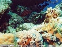 AquaMerRouge4 AquaMerRouge4