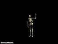 3-D Dancing Skeleton 3-D Dancing Skeleton
