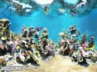 Sim AQUARIUM Sim AQUARIUM