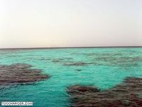 Ecran de Veille : Plongée en Mer Rouge Ecran de Veille : Plongée en Mer Rouge