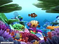 Marine Life 3D Screensaver Marine Life 3D Screensaver