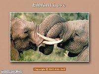 Animals from Africa Screensaver Animals from Africa Screensaver