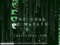 Real 3D Matrix Real 3D Matrix