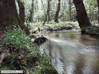 Babbling Brook Babbling Brook