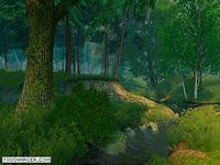Summer Forest 3D Screensaver Summer Forest 3D Screensaver