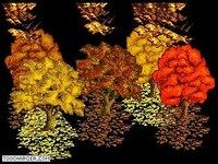 Saisons Saisons