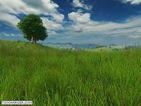 Grassland 3D Screensaver Grassland 3D Screensaver