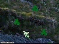 3D Dancing Shamrock Teddy Bear 3D Dancing Shamrock Teddy Bear
