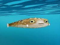 Blowfish - Live Wallpaper Blowfish - Live Wallpaper
