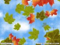 Fall Of the Leaves Fall Of the Leaves