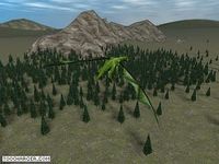 3D Dragons 3D Dragons