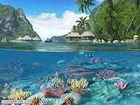 Caribbean Islands 3D Screensaver Caribbean Islands 3D Screensaver