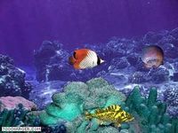 Dans les profondeurs de la mer Dans les profondeurs de la mer