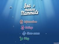 Soa et les mammifères marins Soa et les mammifères marins