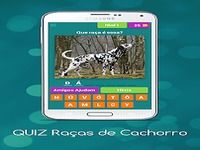 QUIZ Raças de Cachorro QUIZ Raças de Cachorro