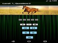 Animals & Birds Quiz Animals & Birds Quiz