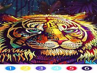 Coloring by Number: image HD Coloring by Number: image HD