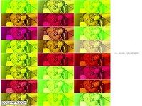 randomschwapp randomschwapp