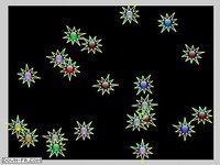 Particle Objects Particle Objects