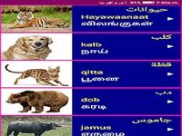 Learn Arabic From Tamil Learn Arabic From Tamil
