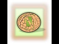 Psychologie pour les étudiants Psychologie pour les étudiants
