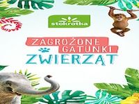 Stokrotka Zagrożone gatunki zwierząt Stokrotka Zagrożone gatunki zwierząt