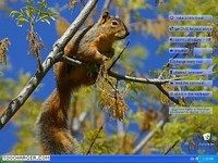 Nature Online Wallpapers Nature Online Wallpapers