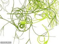 Spiral Fractal V1 Spiral Fractal V1