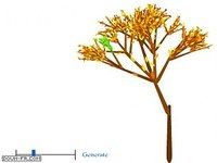 Color Tree Color Tree