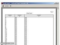 Catchysoft Report Generator Pro Catchysoft Report Generator Pro
