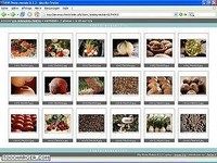 PHP Photo Module PHP Photo Module