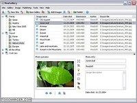 ReaGallery Pro ReaGallery Pro