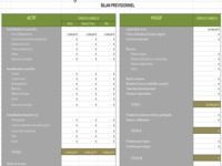 Bilan Prévisionnel Bilan Prévisionnel