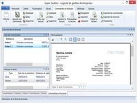 Super Gestion Super Gestion