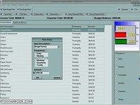 APSW Budget Planner APSW Budget Planner