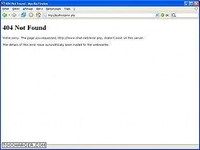 404Handler 404Handler
