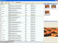 Duplicate Checker Duplicate Checker