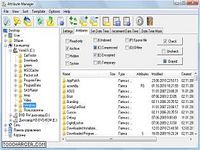 Attribute Manager Attribute Manager