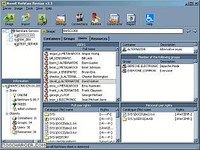 Novell NetWare Revisor Novell NetWare Revisor