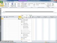 Microsoft Project Professional 2010 Microsoft Project Professional 2010
