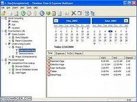 Timeless Time and Expense