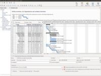 RationalPlan Single Project for Linux RationalPlan Single Project for Linux
