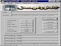 Image Wolf Image Wolf