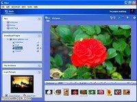Nici Picture Downloader Nici Picture Downloader
